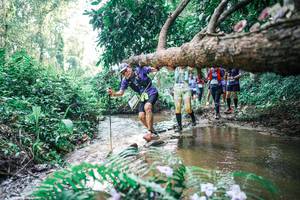 BIB: 
                            <button type="button" onclick="openModal(25459187)" class="btn btn-primary btn-sm float-right btn-popup" data-toggle="modal" data-target=".modal-high-quality">
                        <i class="fas fa-shopping-cart"></i> Add to Cart
                    </button>
                                            <button type="button" onclick="isThisMe(25459187, true)" class="btn btn-success btn-sm float-right btn-popup btn-isme hidden" data-toggle="tooltip" data-placement="bottom" title="นี่คือรูปของคุณใช่ไหม คลิกที่นี่เพื่อเอาเข้าอัลบั้ม">
                        <i class="fas fa-plus"></i> Add to album
                    </button>
                    <button type="button" onclick="isThisMe(25459187, false)" class="btn btn-warning btn-sm float-right btn-popup btn-isnotme hidden">
                        <i class="fas fa-ban"></i> Remove from album
                    </button>